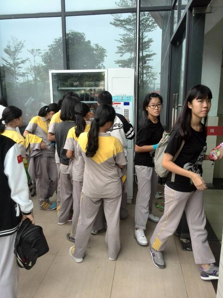 案例展示四